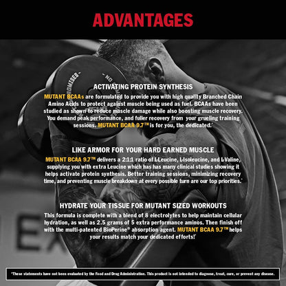 MUTANT BCAA 9.7 FRUIT PUNCH - Micronized BCAA Powder with Electrolytes 348g (BBD 31/12/25)