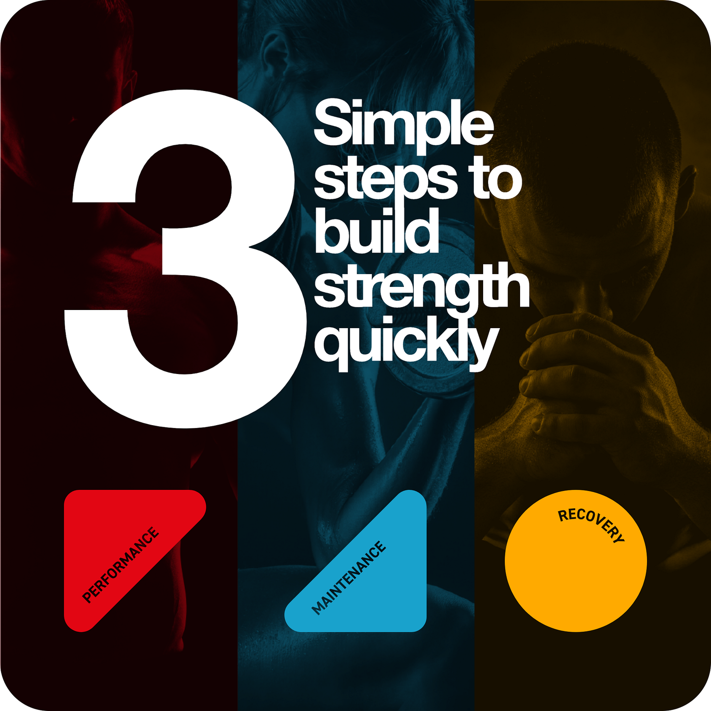 Acetyl L Carnitine Powder 100g - Pure Powder