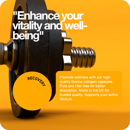 Bovine Collagen 400mg Capsules x 60 - Rapid Strength
